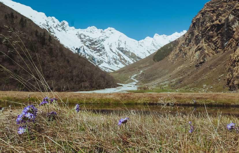 Api himal base camp trek 2026