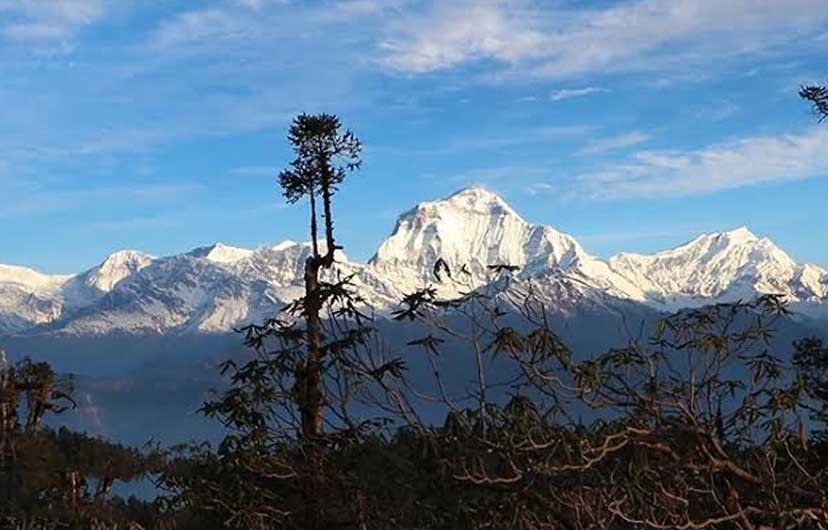 View of Dhaulagiri Mountain from Kokhe Danda viewpoint in Nepal