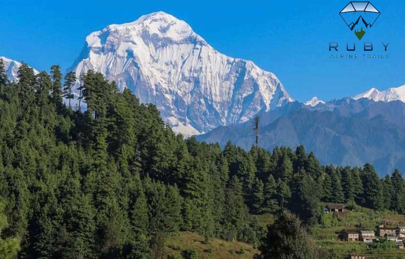 Kokhe danda trekking