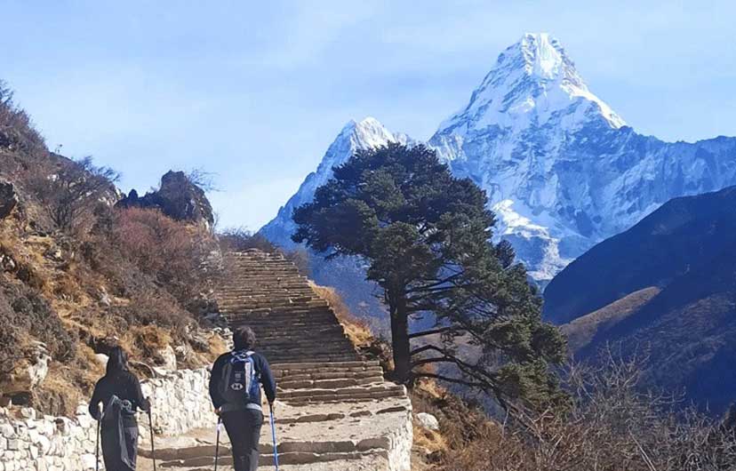 Majestic view of Mt.Aama Dablam during Aama Dablam base camp trek with the trees and trekkers hiking.